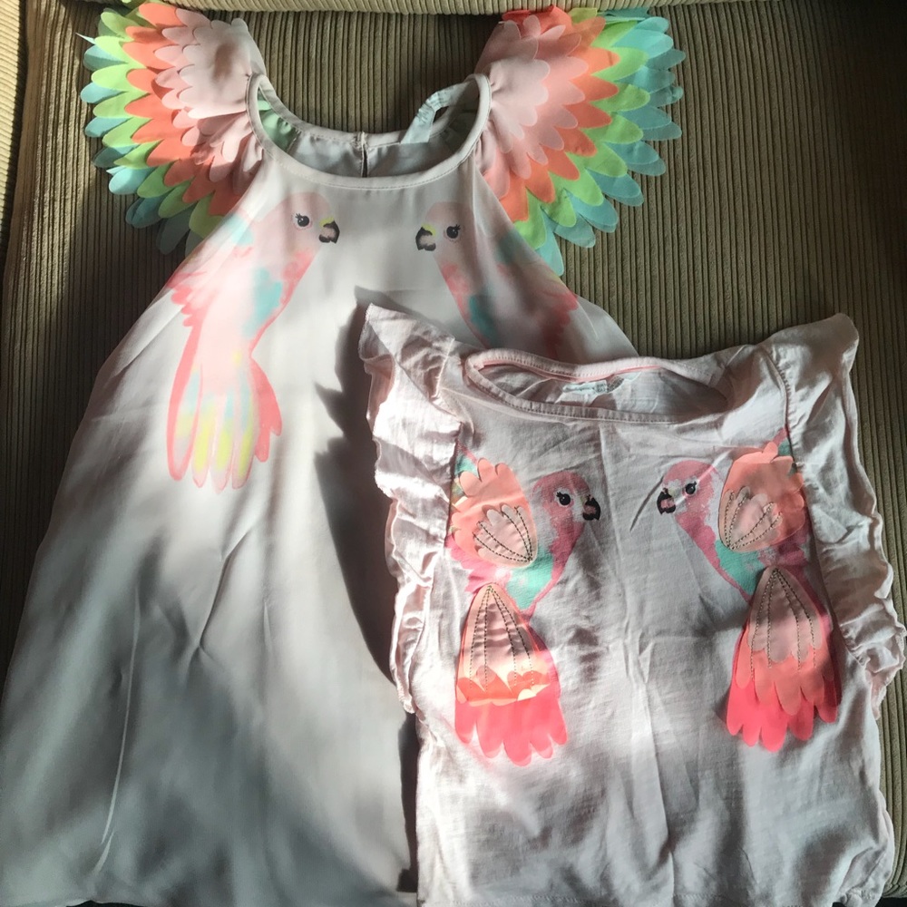 H&M bird shirt and dress collection